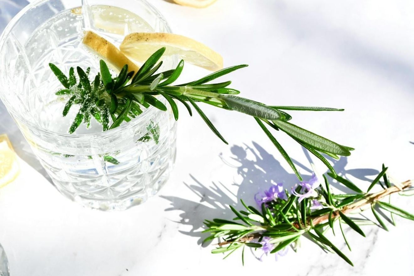 Gin-Tonic rozemarijn
