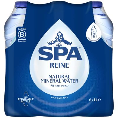 Spa Reine 100 cl