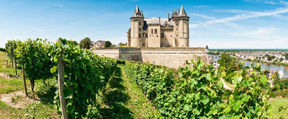 Loire wijngaard kasteel