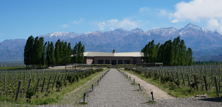 carmenere