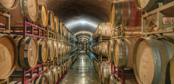 nebbiolo